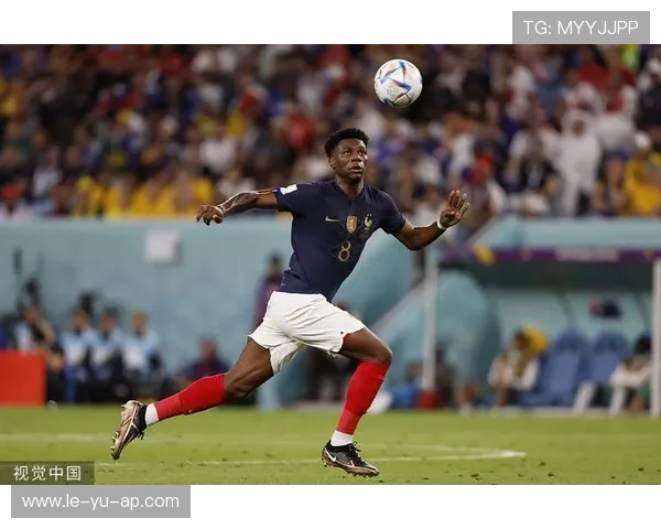 楚阿梅尼防守数据亮眼，强势表现助力球队稳固中场