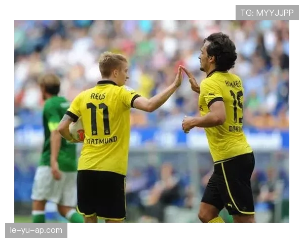 德甲新赛季转会新秀名单揭晓，未来之星闪耀绿茵场