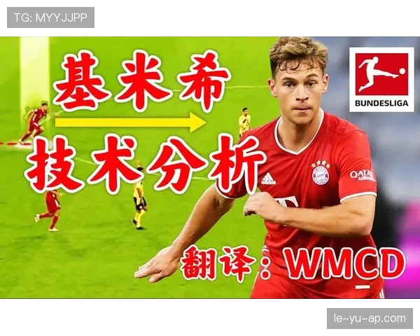 基米希技术能力总结