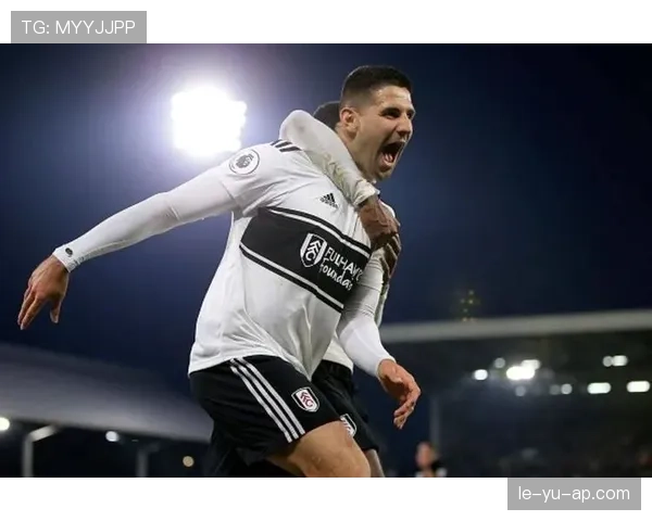 塞尔维亚米特罗维奇门神