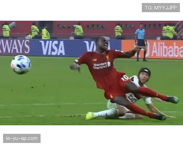 外物入场为何会导致比赛中断？规则如何判罚？